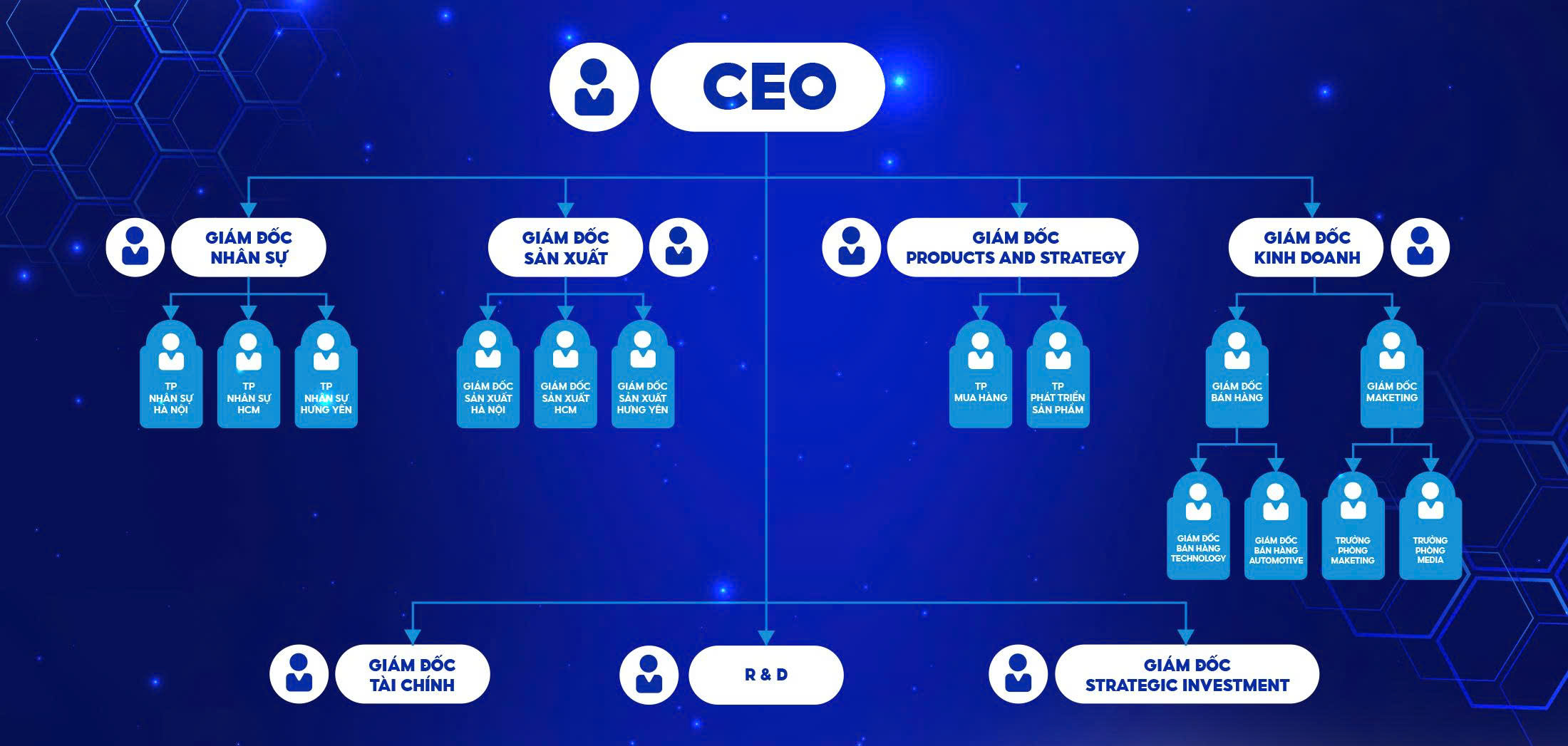 Cơ cấu tổ chức